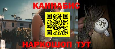 хмурый Бийск
