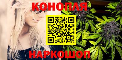 стафф Берёзовский