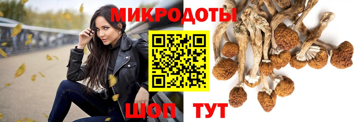 Псилоцибиновые грибы ЛСД Калуга