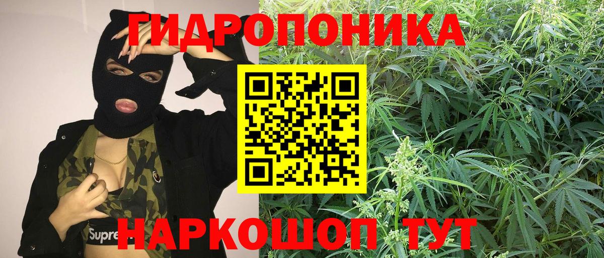 Каннабис марихуана  Вход с VPN  Калуга  Бошки Шишки гибрид  Марихуана LSD WEED 